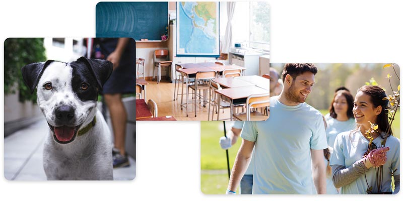A collage of different nonprofit organization types