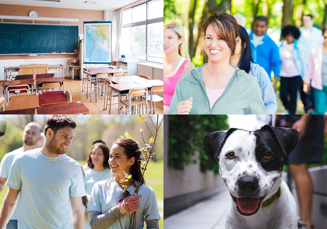 A collage of various nonprofit organization settings