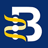 A logo of Hepatitis B Foundation